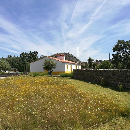 Santo António das Areias Casa Das Amoras المظهر الخارجي الصورة