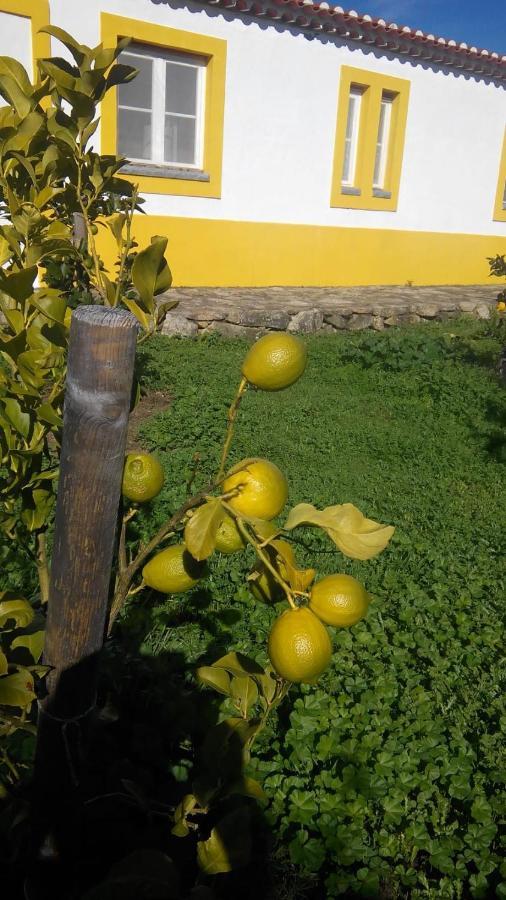 Santo António das Areias Casa Das Amoras المظهر الخارجي الصورة